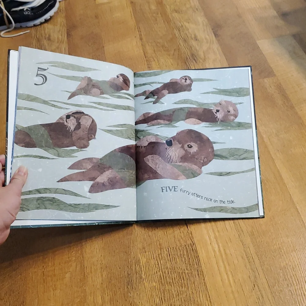 One Nighttime Sea Book‎ by Deborah Lee Rose Hardcover Counting Book
